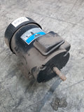 ELECTRIC MOTOR 3/4HP 240 VOLT 16mM SHAFT 2800RPM Brand New